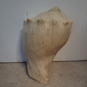 Conch Shell (Decor)